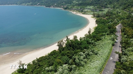 Da Nang reopens Son Tra Peninsula tourism routes after three-year halt